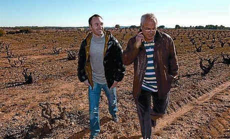 Andr�s i el seu pare Jos� Antonio passegen per les vinyes del seu celler.