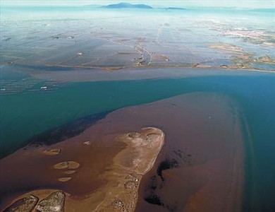 Imatge a�ria del delta de l'Ebre, amb el Fangar en primer pla.