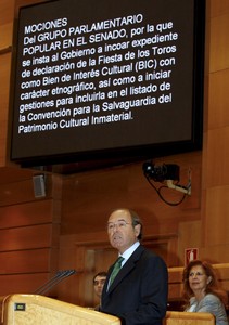 P�o Garc�a Escudero, portaveu del PP, defensa la moci� del seu partit al Senat, avui.