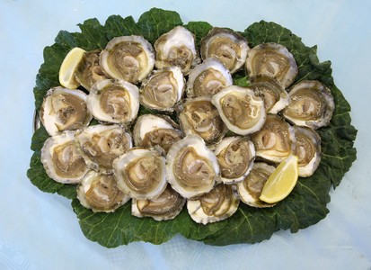Un plat d'ostres.