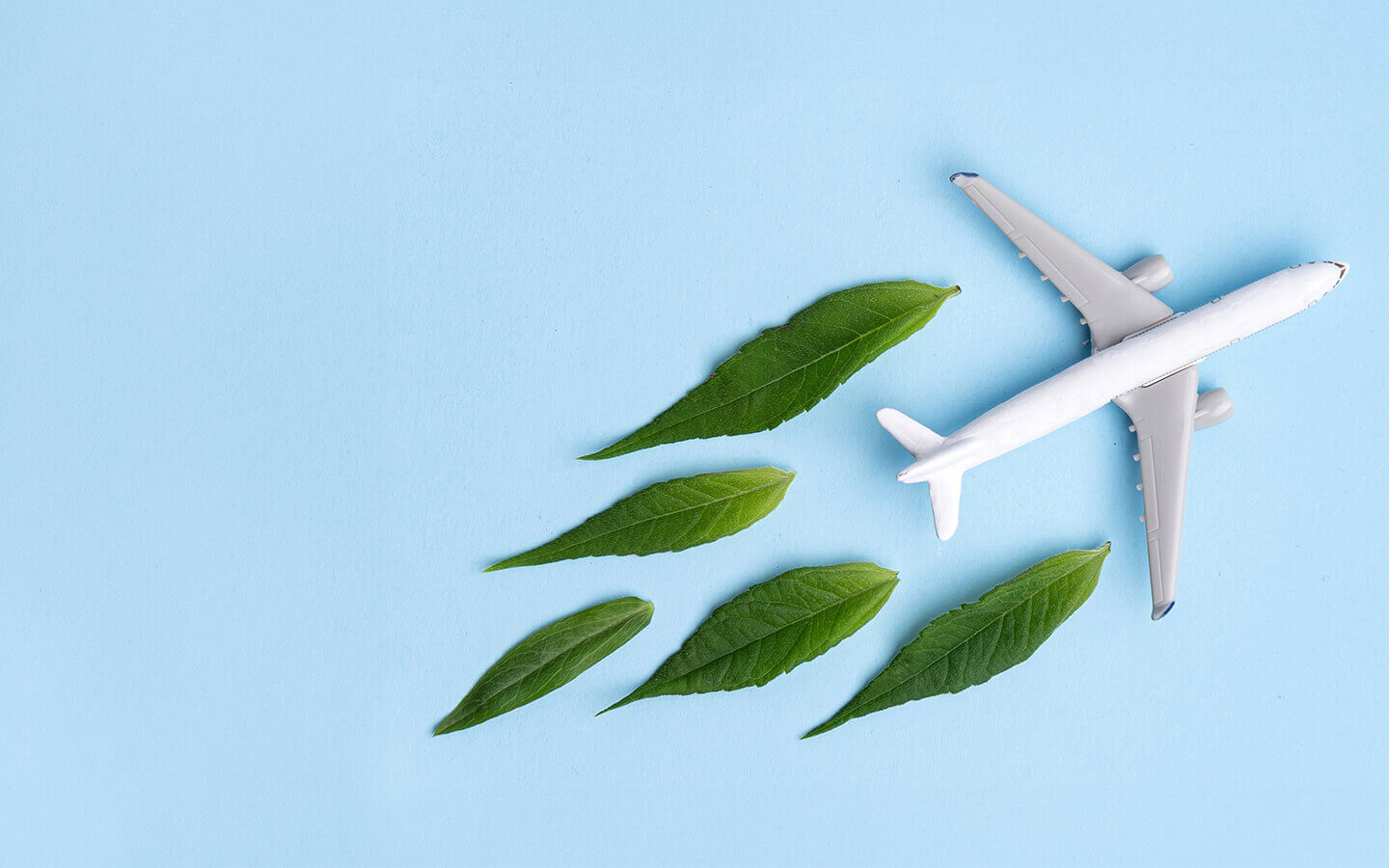 Cómo contribuyen los biocombustibles de segunda generación a descarbonizar el transporte