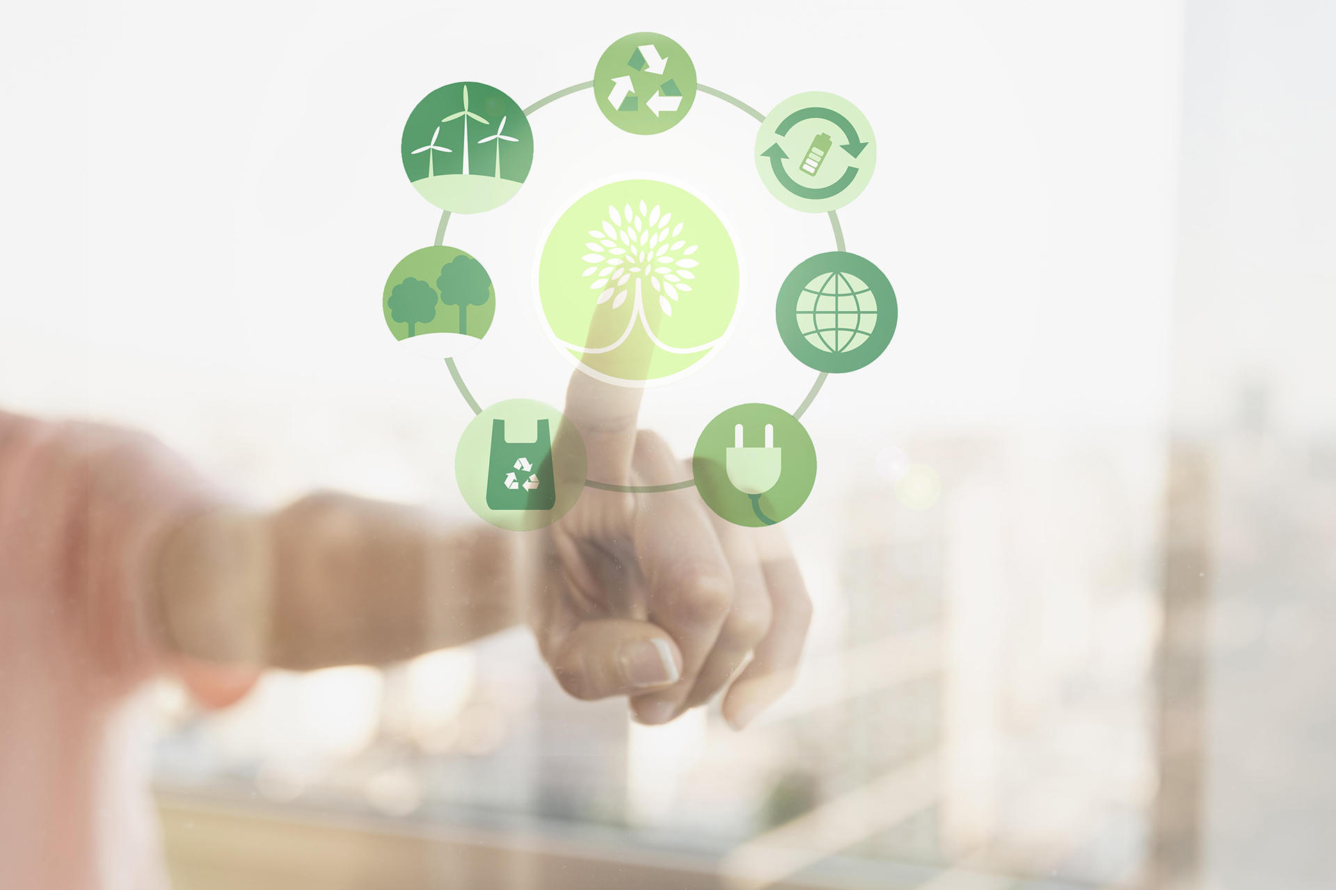L'economia circular com a necessitat empresarial