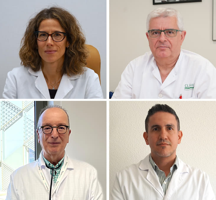 De izquierda a derecha: Dra. Alicia Ferreira Moreno, Dr. Antonio Torres Martí, Dr. Luis Manuel Entrenas Costa y Dr. Augusto Espinoza.
