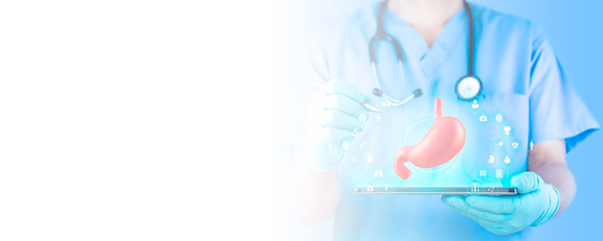 ¿Sabías que tu estómago tiene más neuronas que la médula espinal? 16 curiosidades sobre este órgano