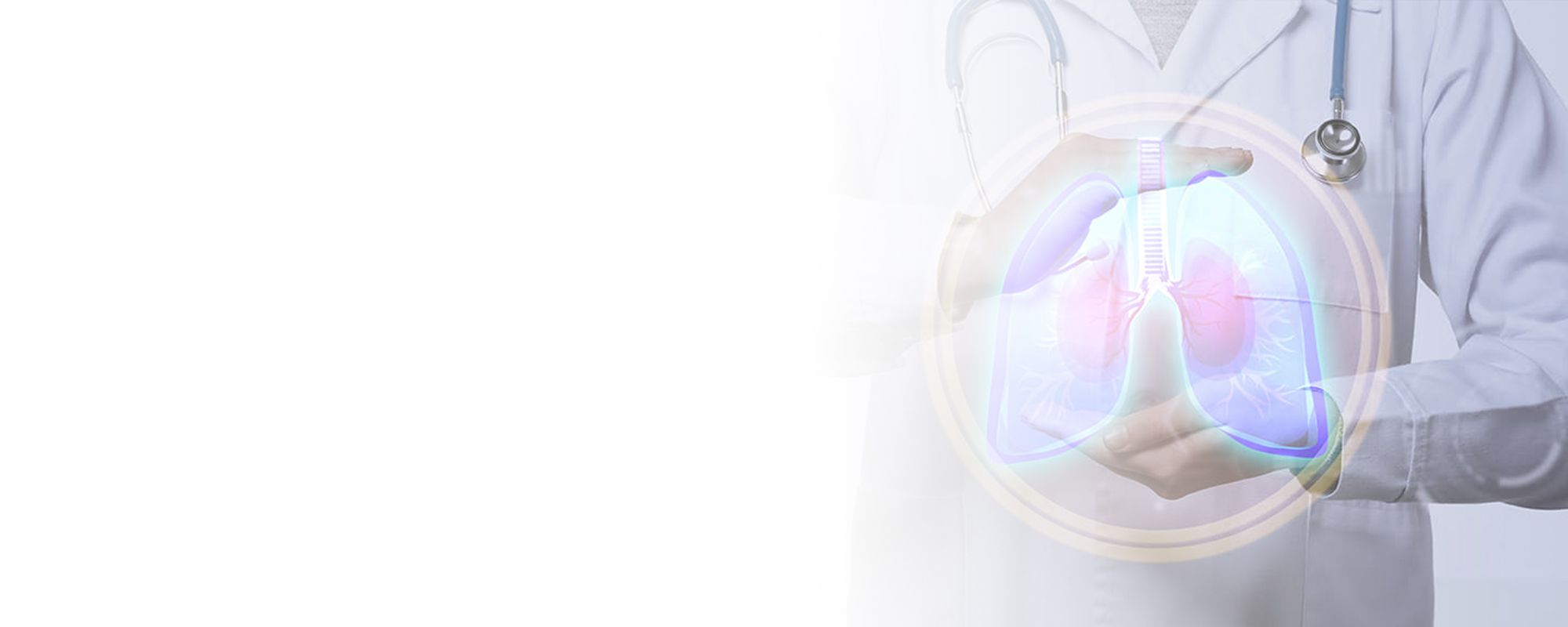 ¿Sabías que la superficie de un pulmón equivale al área de una cancha de tenis? Descubre más curiosidades sobre este órgano esencial