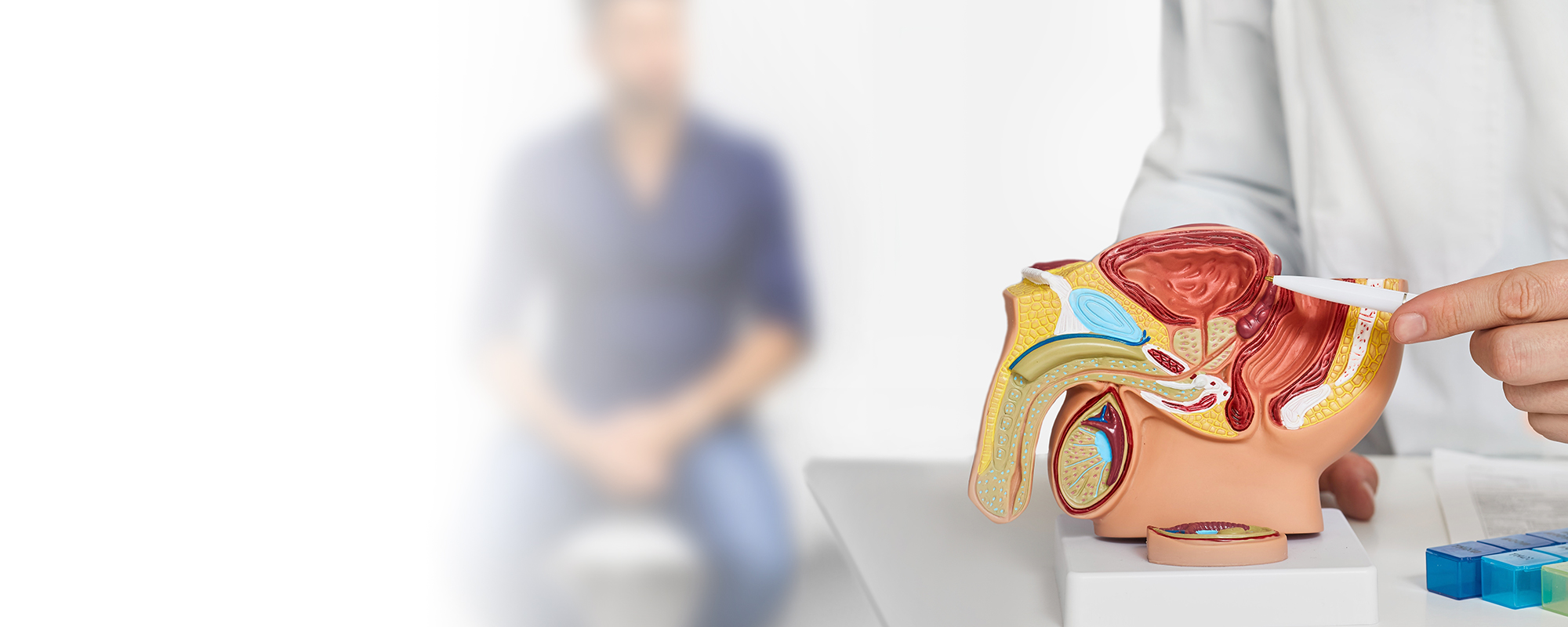 Salut masculina: Com cuidar la salut urològica segons l'edat